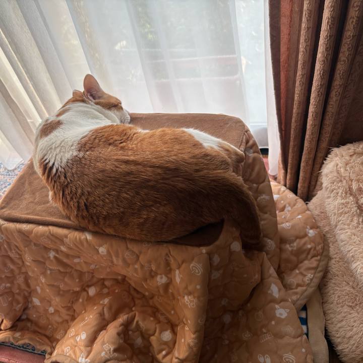 84800217 2518 4abe a5df 81468db15812 1764743246198