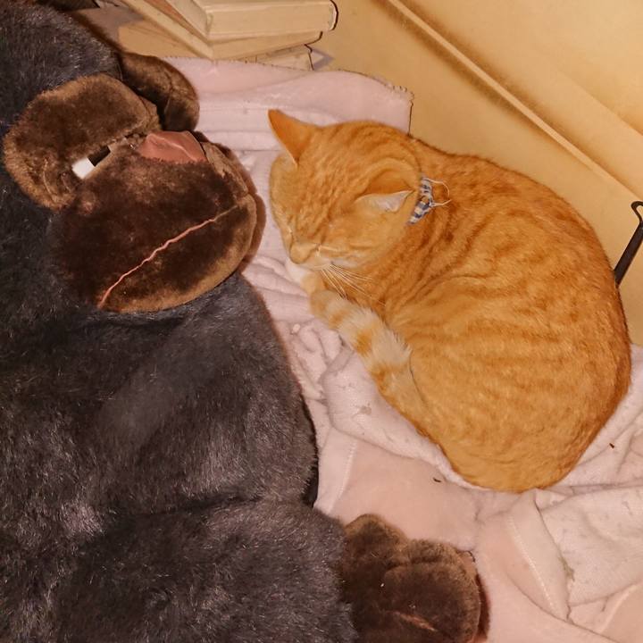 8480256f 816e 402d 80a0 4909589a5caf 1573476397903