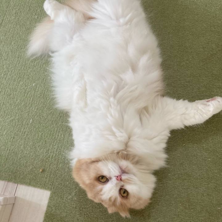 84804345 e4d9 4240 ba74 454585b75b08 1694700761360