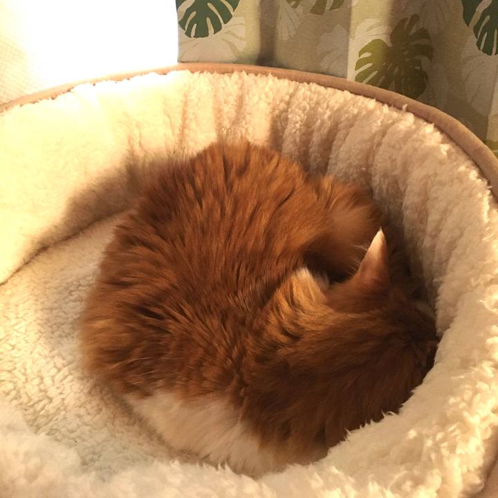 84808262 1597 4ef5 af81 54bf8afc1d8c 1575018963735