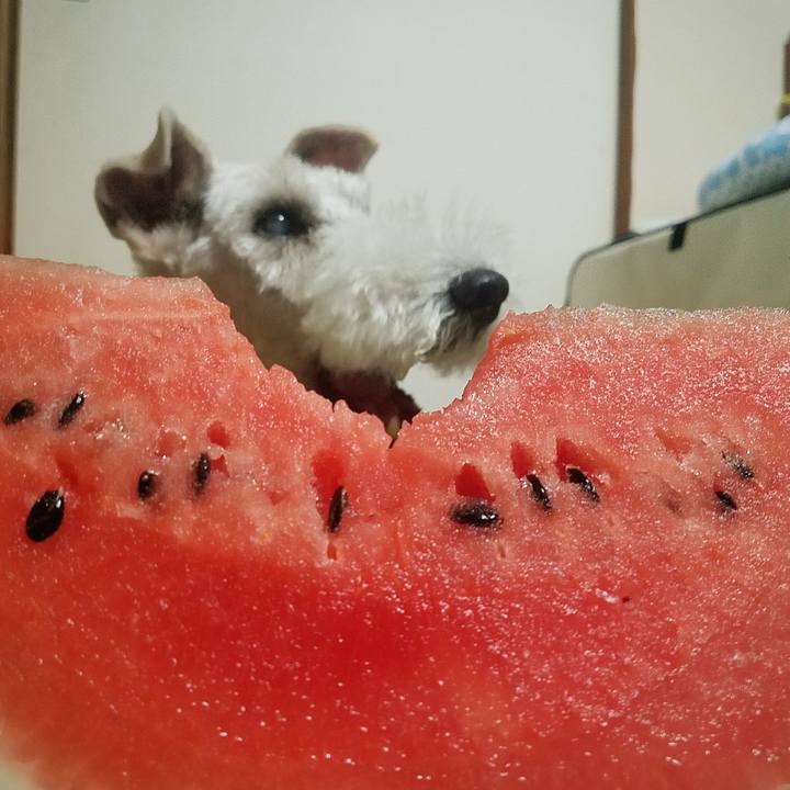 84809a09 ef57 4ae4 99c1 fe7f5ab4bb96 1596262950096