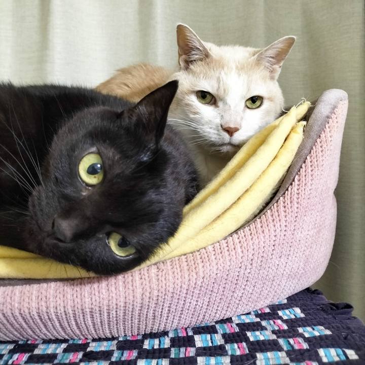 8480a5c7 42af 498b a288 d685305ad93e 1708076377122