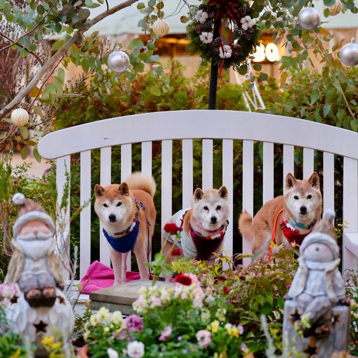 8481154b 9be2 426f adf7 80e3773f0a4a 1765380481193