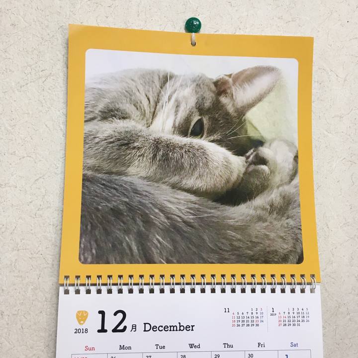 84811cf2 b53c 4812 9a23 bc8aec42feab 1543626050288