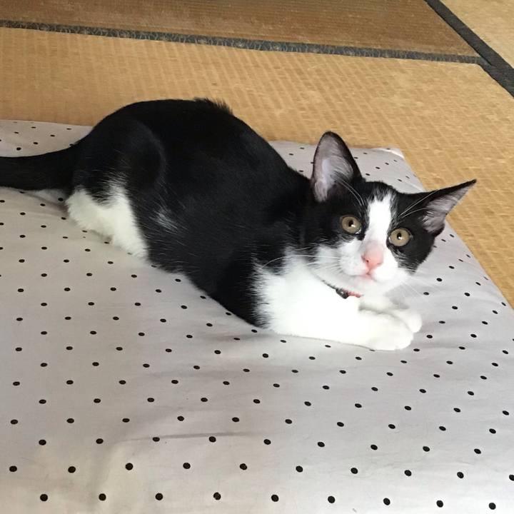 848123b2 9417 4419 95f2 7c1a47bbc769 1627872844531