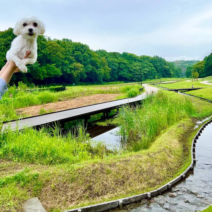 84814e05 4a1b 4106 b730 42460e3c03a2 1657958187665