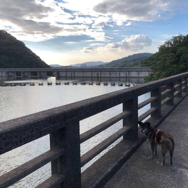 84818c48 0606 4f96 8c3d 830dd672c872 1663238555078