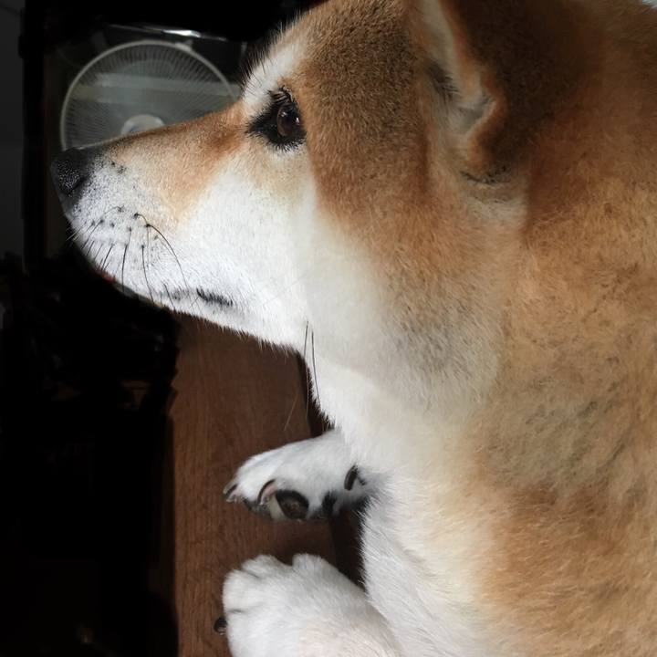 848195c8 aa7f 402b bd22 c03bd1262377 1563759950373