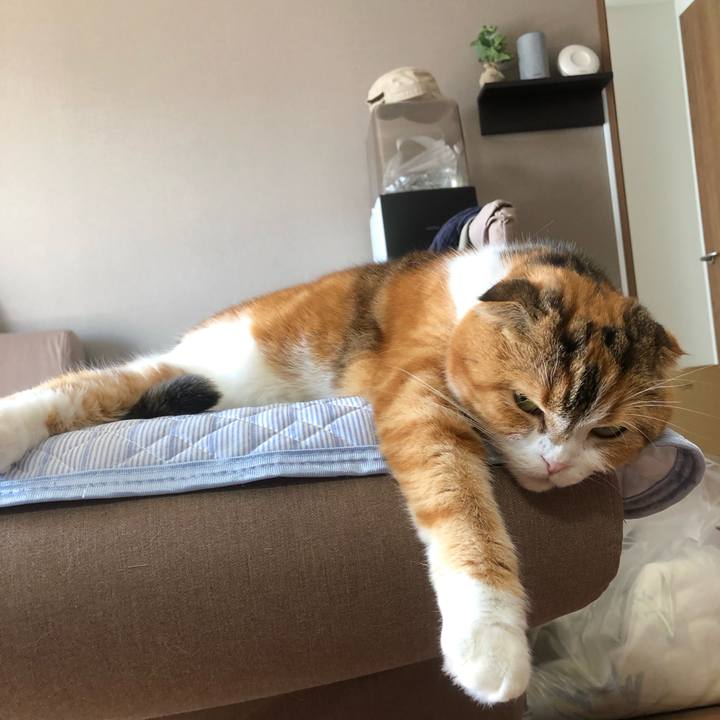 84819818 4a7c 47ba bc81 1a6e7c758944 1604107763547