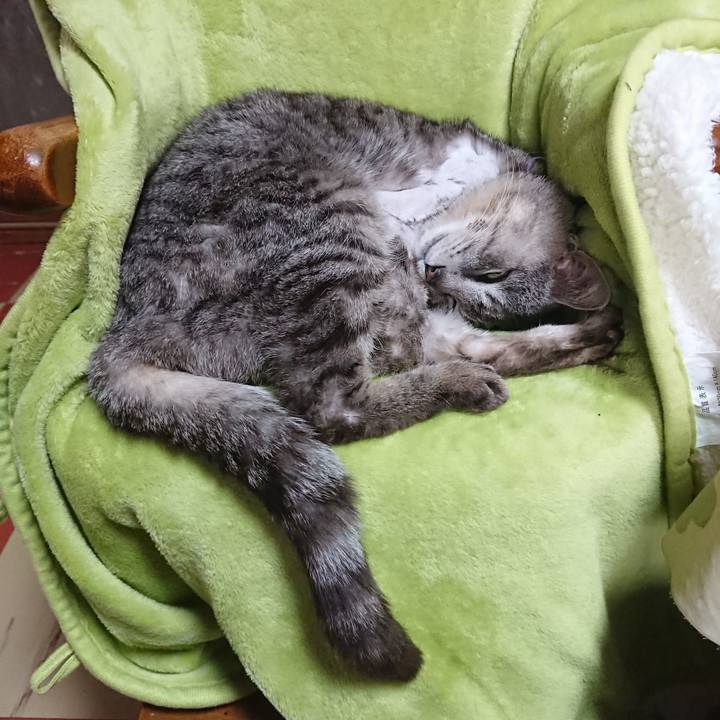 8481c3e4 38d1 42f6 bc9a 22b2c78777c3 1588565369569