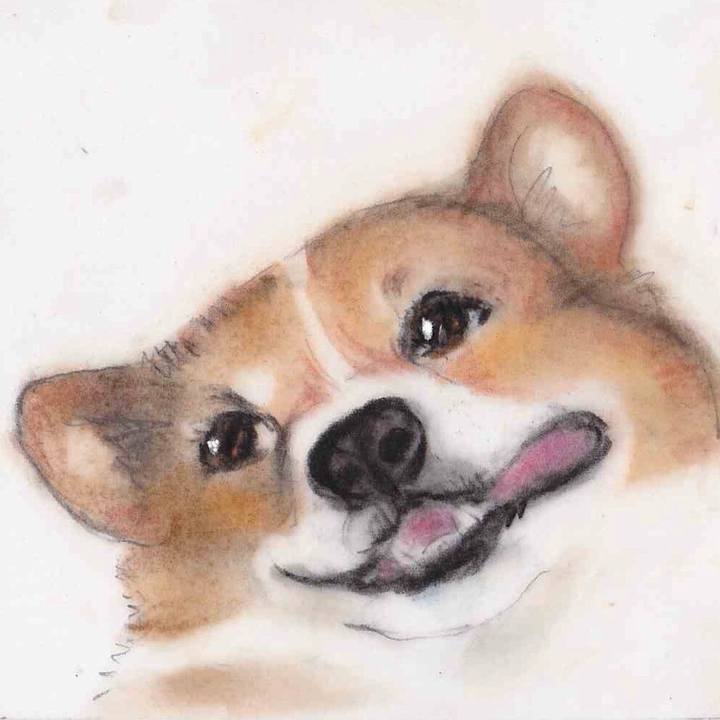 8481f3a8 b526 4870 a566 caf29a99d29b 1634912142991