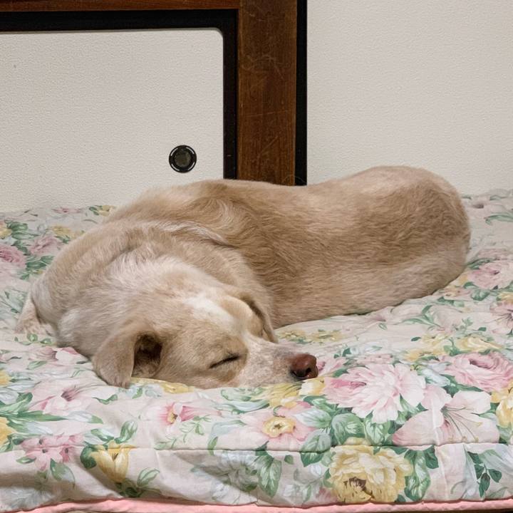 8481f8f7 f07b 4ede bbef 1ed3542d611a 1554385424155