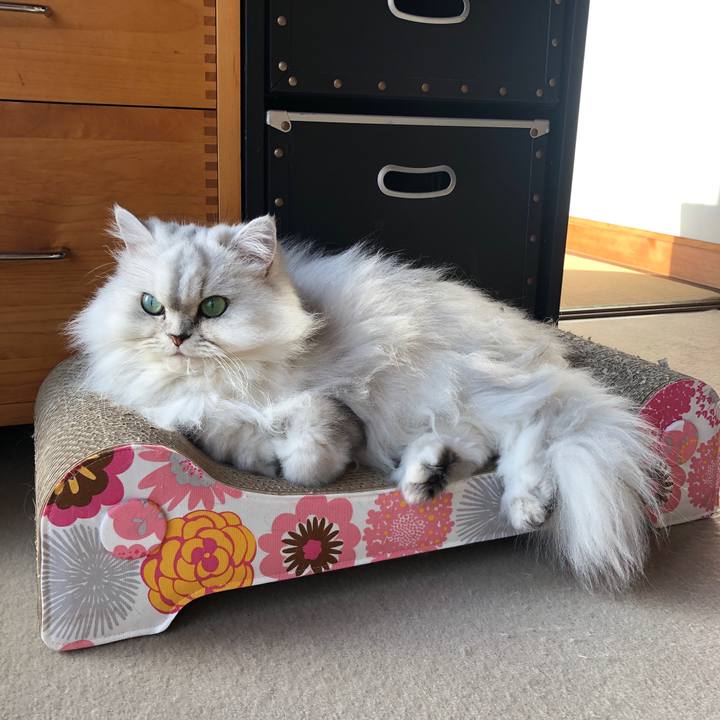 84821d08 d27a 4c66 ade8 4cd4dda5566f 1610848480487