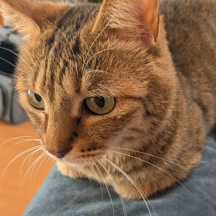 84824c9a 75e3 4185 ba5e 5b005bfe3026 1768688831565