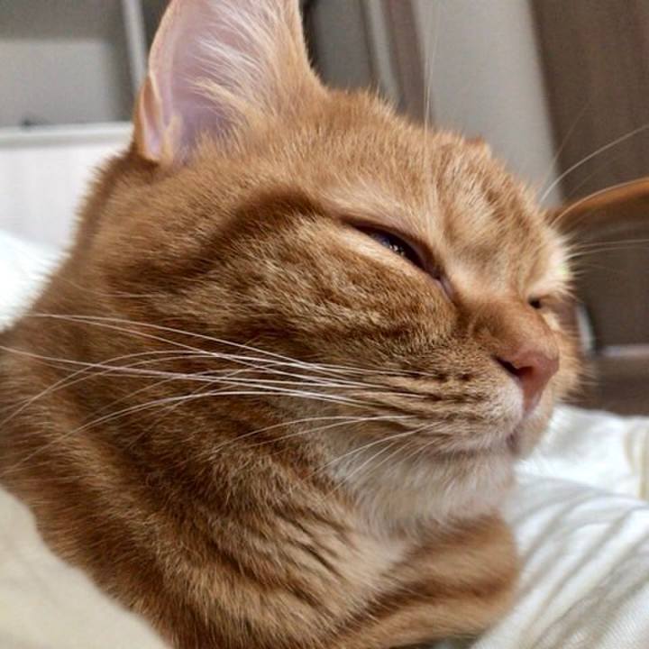 84825920 d5b9 459f bf0f be9df46861d4 1509848238258