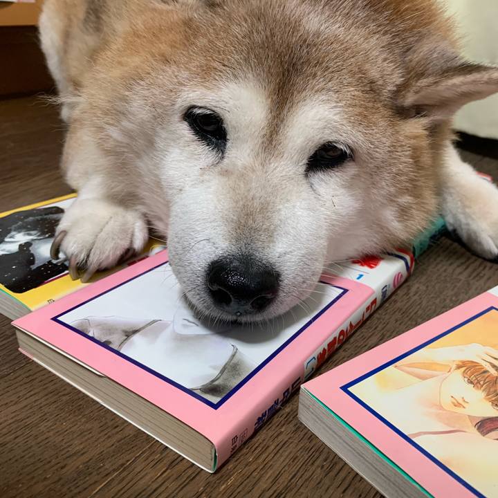 8482a26d 5183 46d8 8cf7 1659e7fa9c91 1623152026395