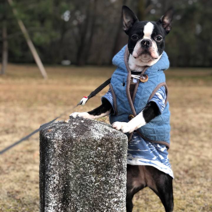 8482bd56 02da 4f7f b657 b3e329dfa56c 1518244201795