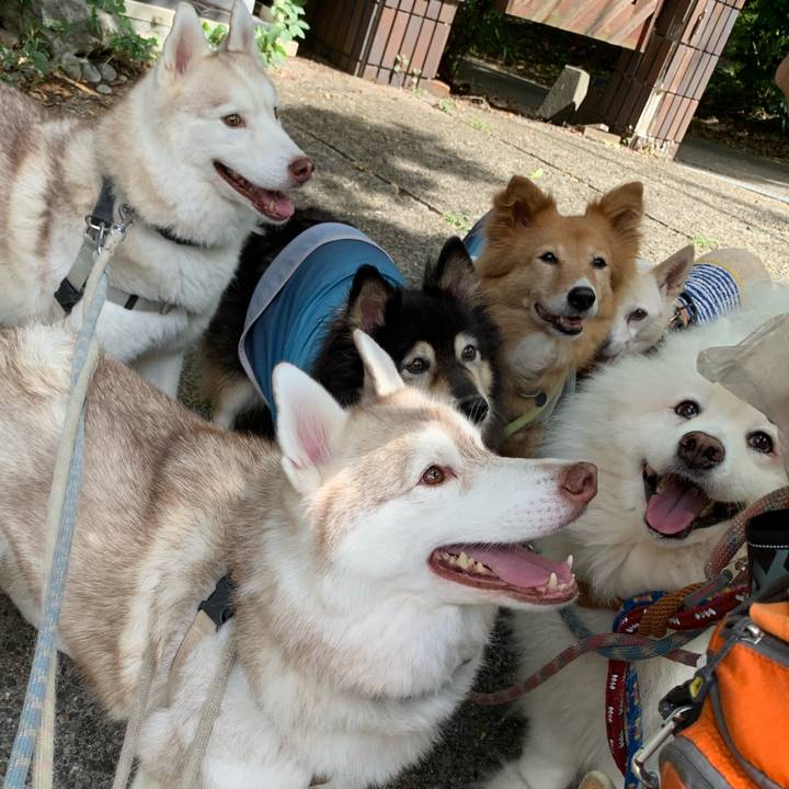 8482cb10 b820 45c4 97e4 52a99c8ec492 1694328312152