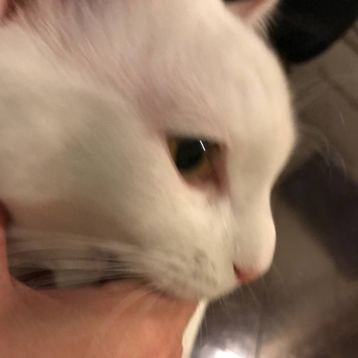 848305b6 0baf 4fb3 8c17 caf824d8fbb5 1518009653886