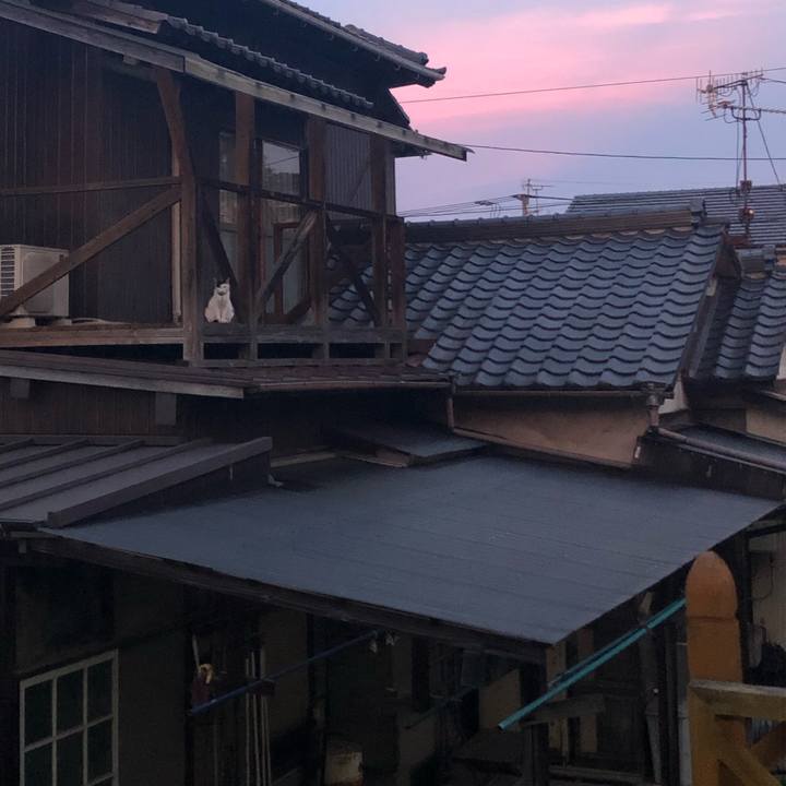 848309d8 664c 4226 8f79 ac28aaee3027 1627644431510