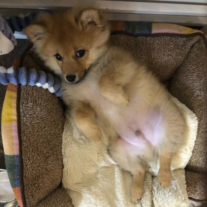 84833800 0879 415f 8e41 d0fdf2df8803 1581426060733