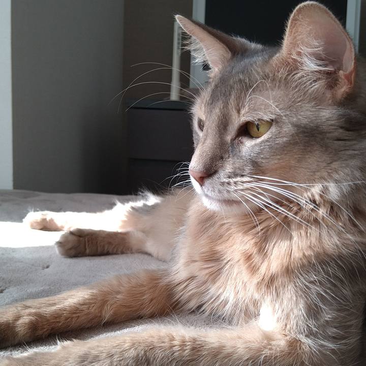 84834780 69bf 46ae 9736 091c6c28ded7 1605846636459