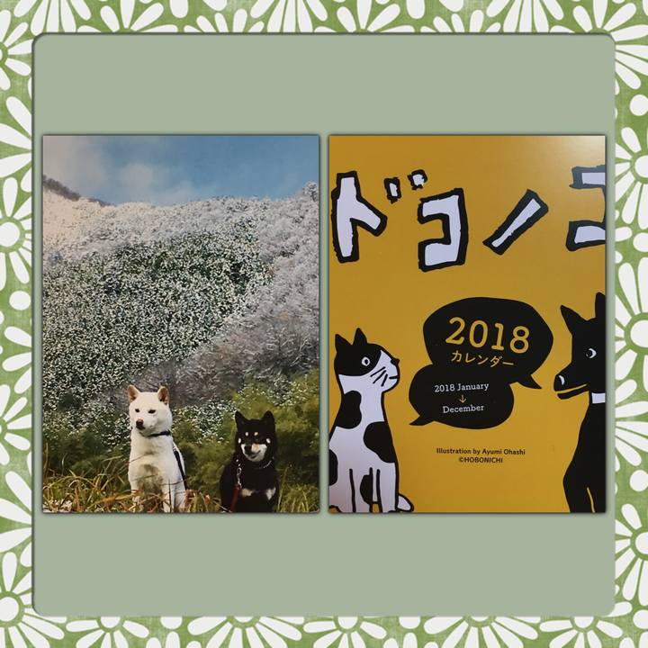 84836f15 0ef6 4e90 9779 605631ad754d 1510911229257