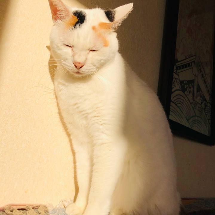 8483a00f 5bf1 46ff 942a e1fc45a63f73 1762208553345