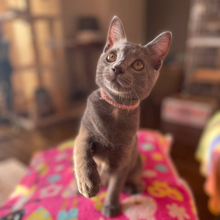 8483e217 93ae 4d28 8977 154c0a0227a8 1761523039638