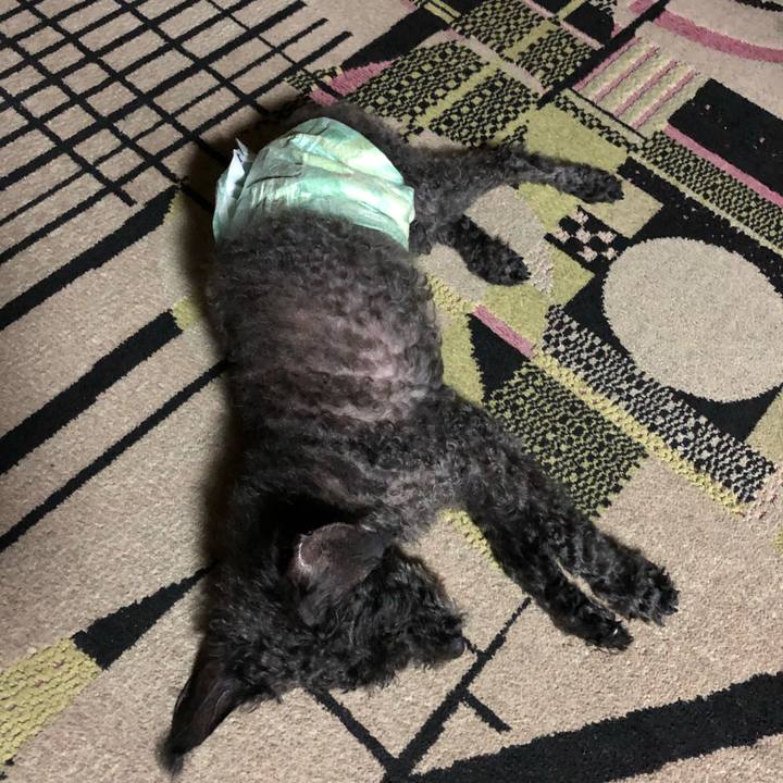 8484037a 7e7d 4a11 b651 1424c25f241b 1567823471116