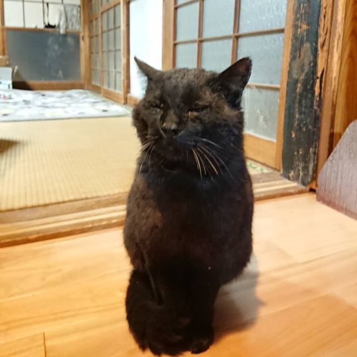 848421ce 80bf 4444 a369 33a500592f00 1620831714315