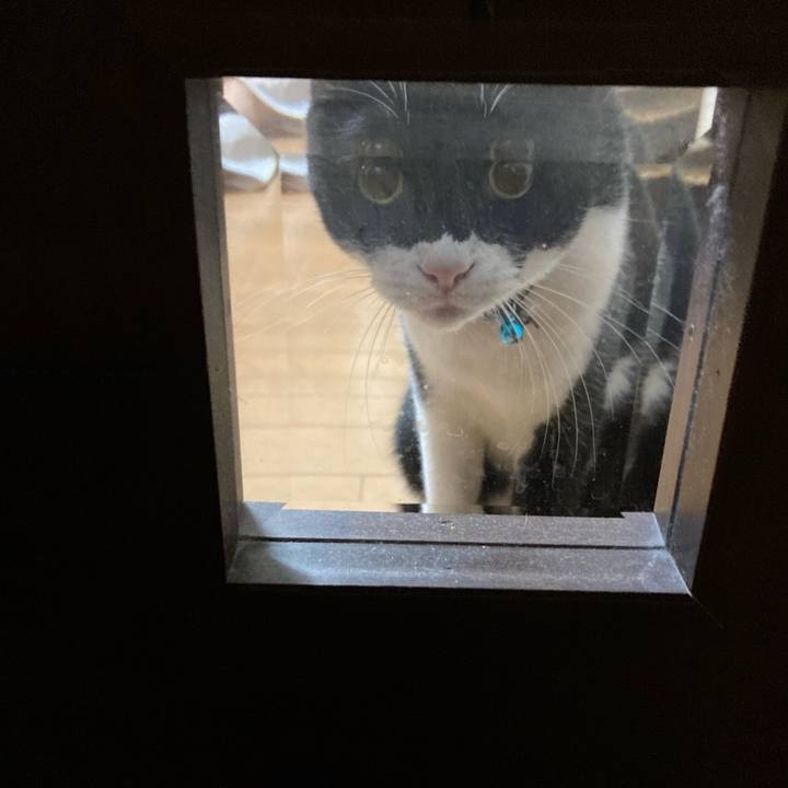 8484297f f0d8 4fe0 9e95 42b53907156b 1706094727350