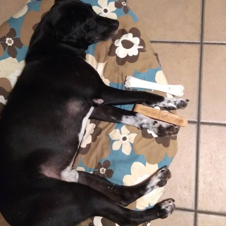 84843257 12c4 4e37 bf8a 19c6c92628c1 1626393756912