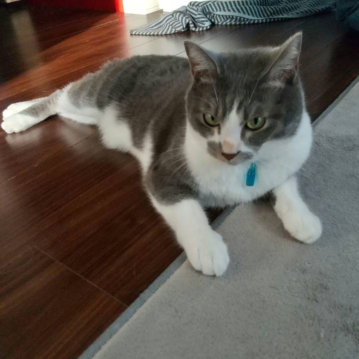 848453eb 2121 411b 91ce 6ecb8f2230d0 1631346562675