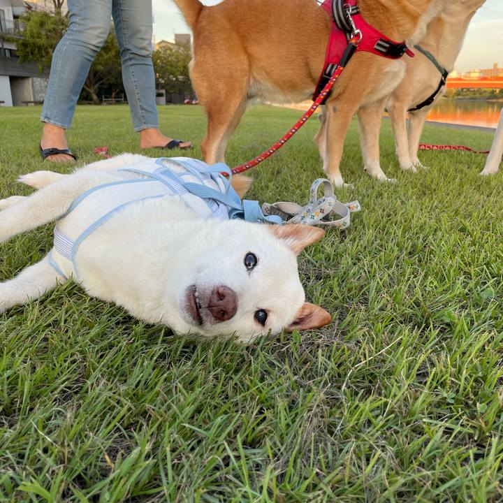 8484653b 9b93 45ad ba27 d3cfb615f9df 1663683206626