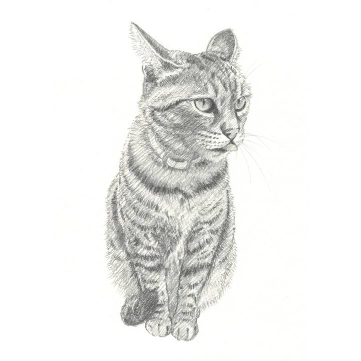 848489f1 0b2e 43ef b882 6a1309337340 1542199993167