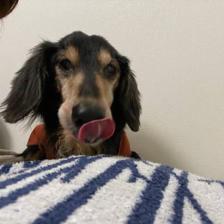 8484b6a3 ea7e 4a06 afd3 39c7037fa62e 1735917105595