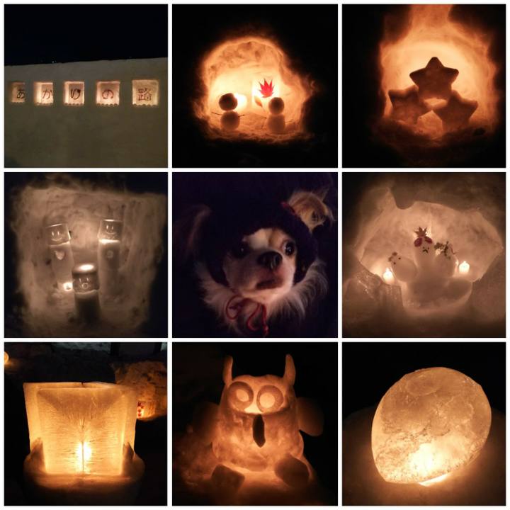 8484e333 7fb8 4841 a73a 9a3d798d9490 1518263424671