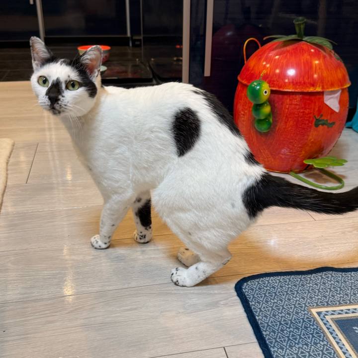 84852629 50b9 47b7 9d95 4f6ee5d48d0c 1767620091161