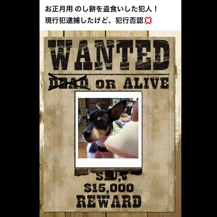 848563c4 94df 41bd 8f19 f6999617ba71 1672389989886