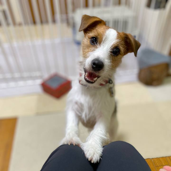 8485648a f93f 48ed 9244 7fc5dfd8931a 1658754872845