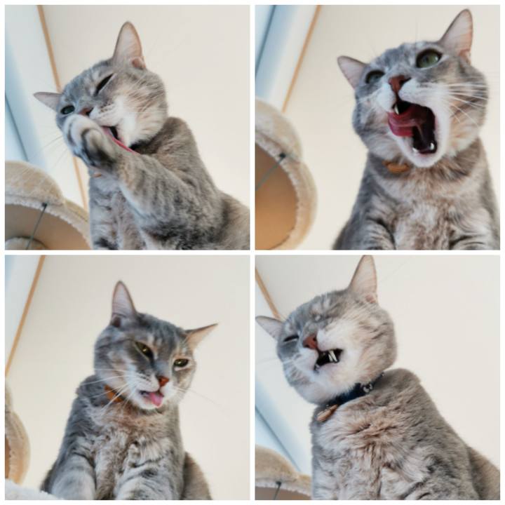 848578a2 7821 4917 9338 19a92847f201 1606897807727