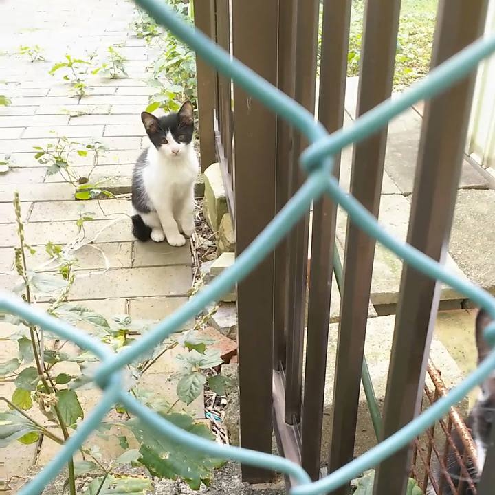 84857a0a 5ff6 4d39 b819 24b972d99549 1540701776875