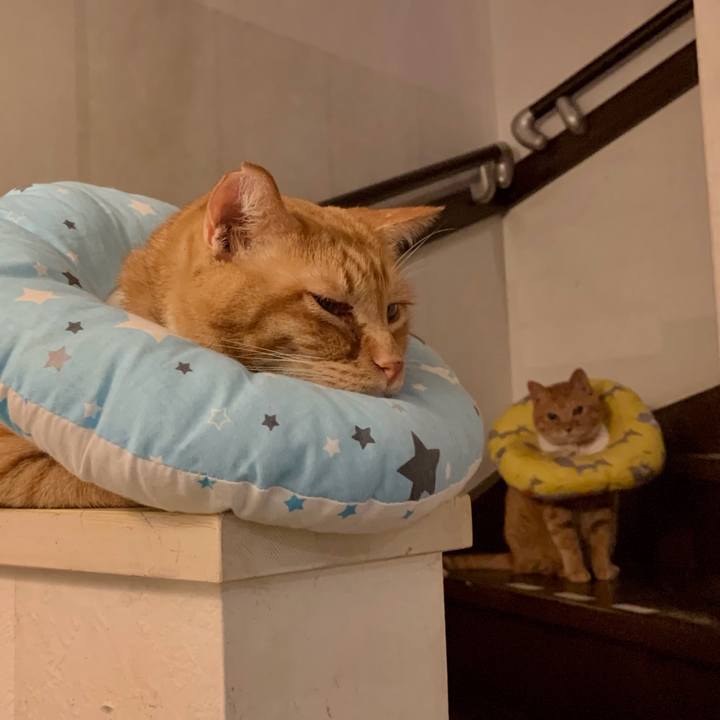 84859155 09e4 4e1d b39d 20e31ba2bc1b 1621671247241