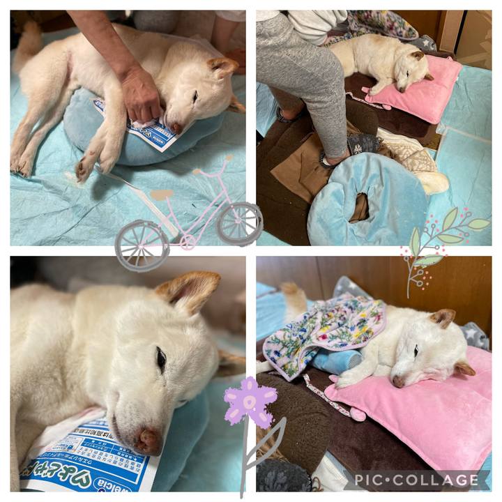 8485fec7 6942 435e 9132 d363ecfe9b94 1647429858548