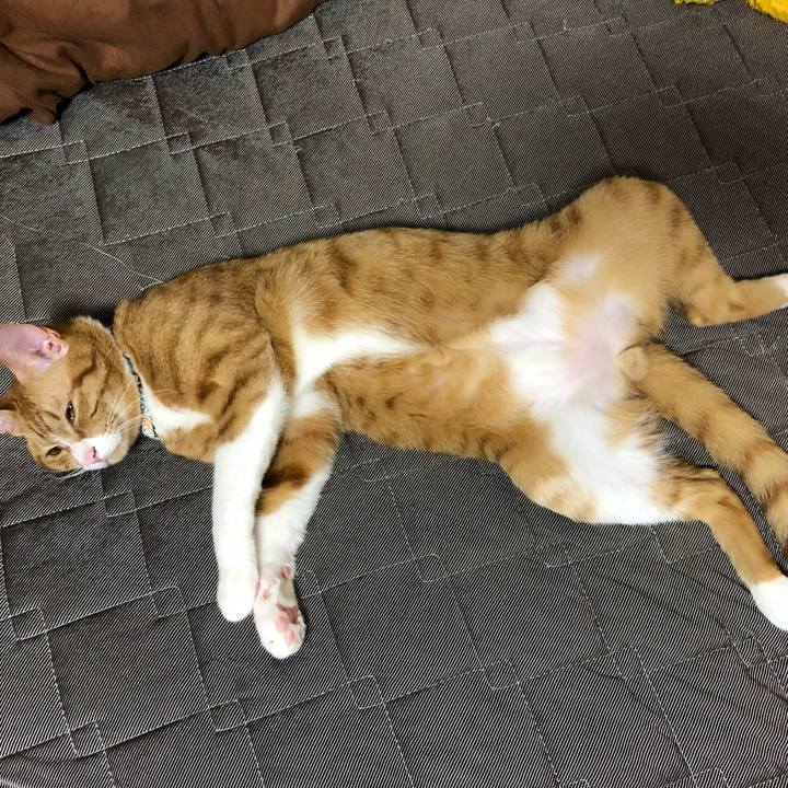 84860017 2763 4c72 bbf8 4ee333dc1376 1562645731783