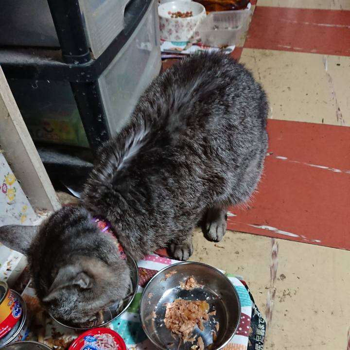 8486003d 0d30 4389 8b20 594b9fa3e8b2 1593380289749