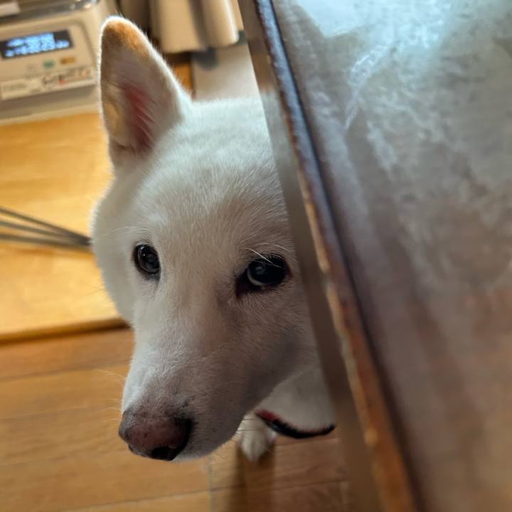 848620ef 3d8b 4743 adcb 074c65b48259 1767845976654