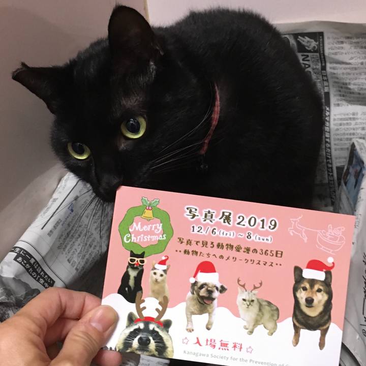 84863e3f c11f 4d23 8c35 6c7c82afa3ff 1575534008878