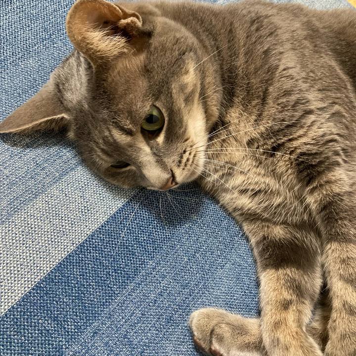 84864293 27dd 44f8 bb1e 8c5487b454b3 1656078010135